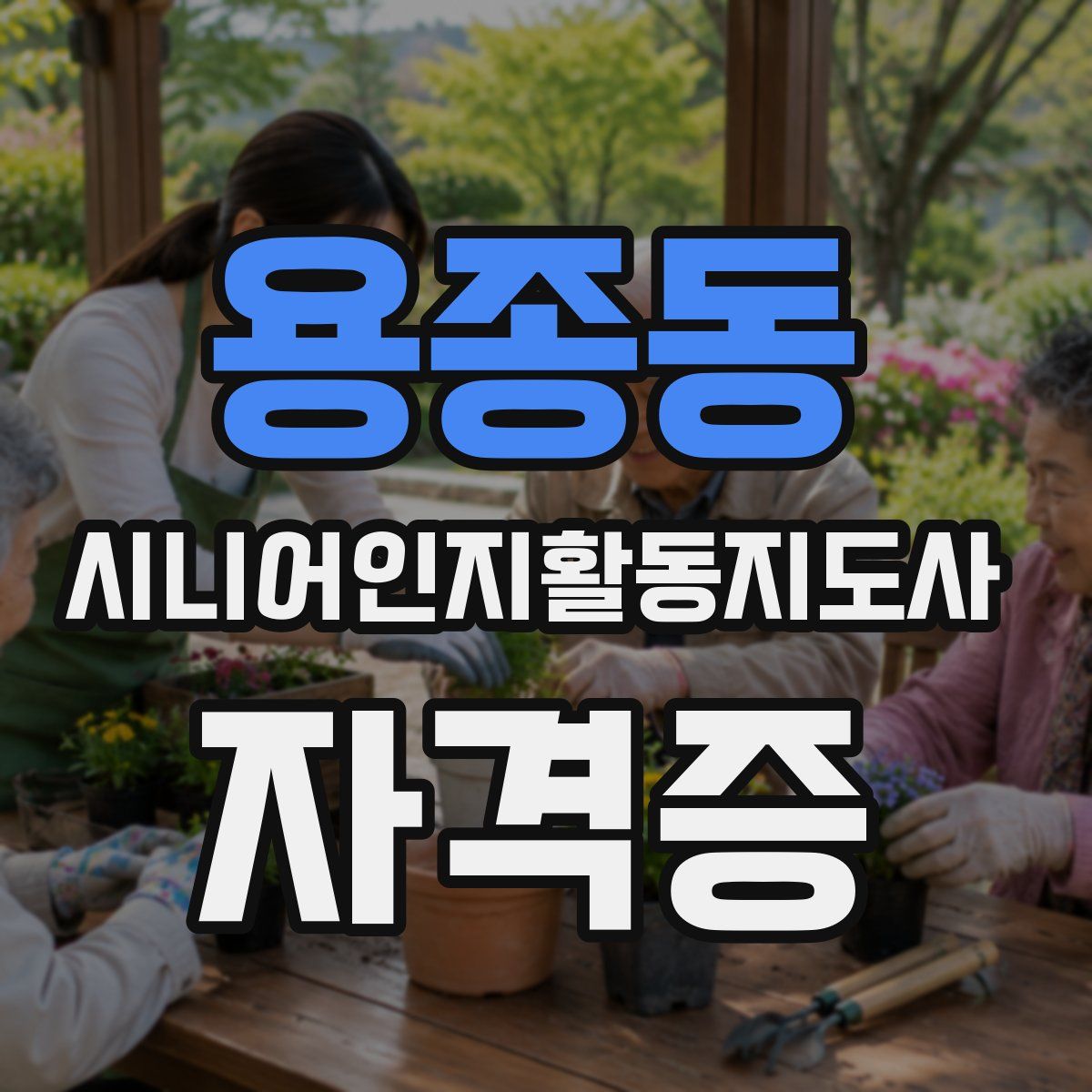 용종동 시니어인지활동지도사 자격증