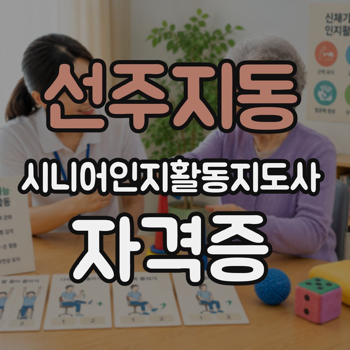선주지동 시니어인지활동지도사 자격증