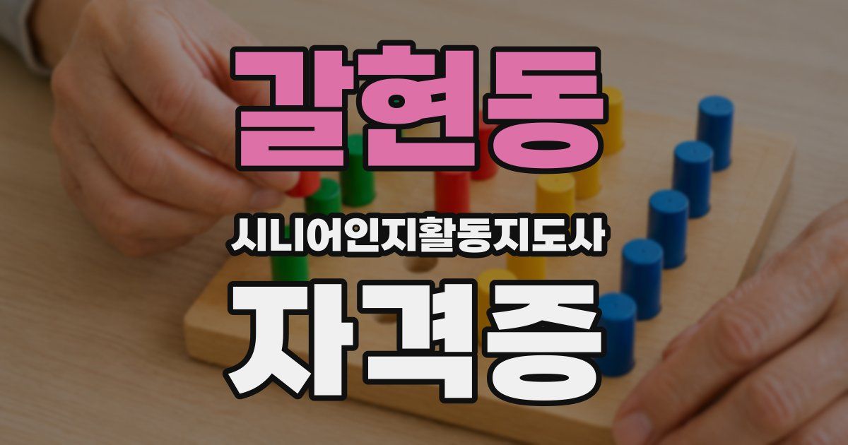 갈현동 시니어인지활동지도사 자격증