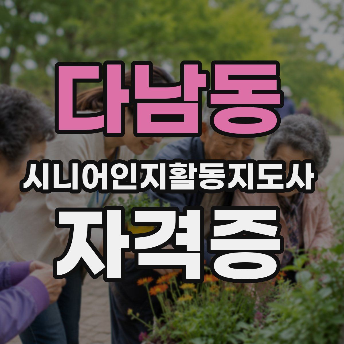 다남동 시니어인지활동지도사 자격증