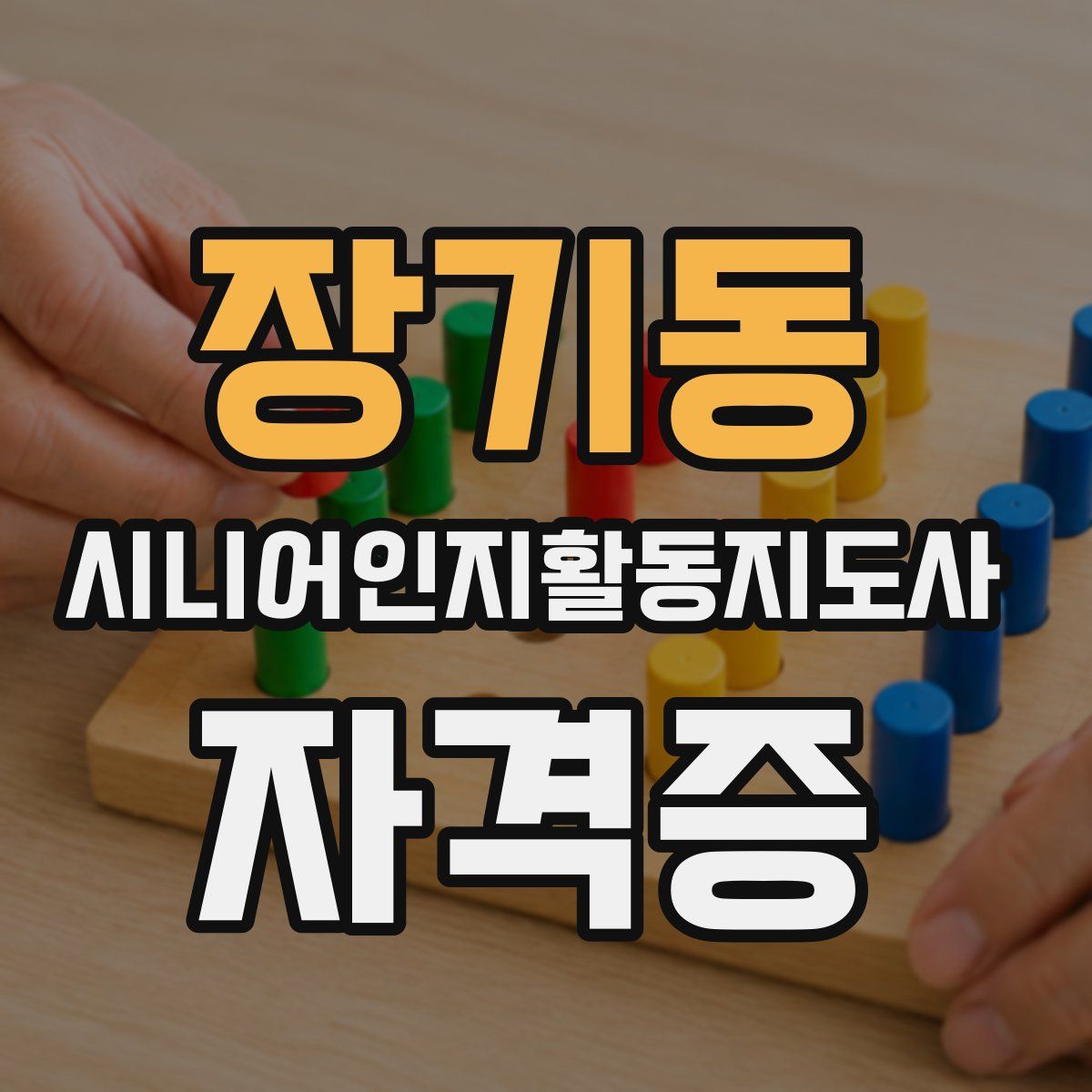 장기동 시니어인지활동지도사 자격증