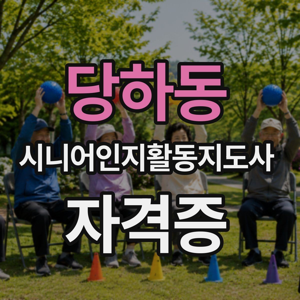 당하동 시니어인지활동지도사 자격증 발급 절차 한눈에 보기
