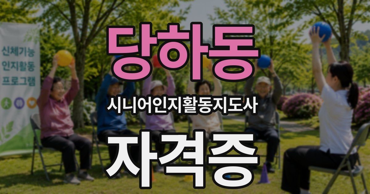 당하동 시니어인지활동지도사 자격증