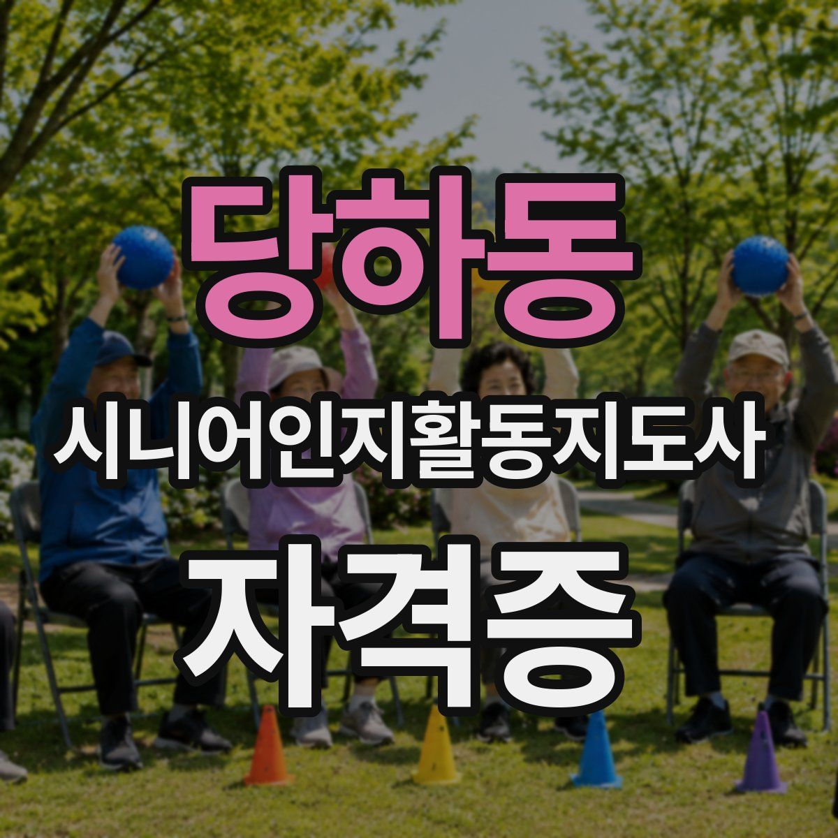당하동 시니어인지활동지도사 자격증