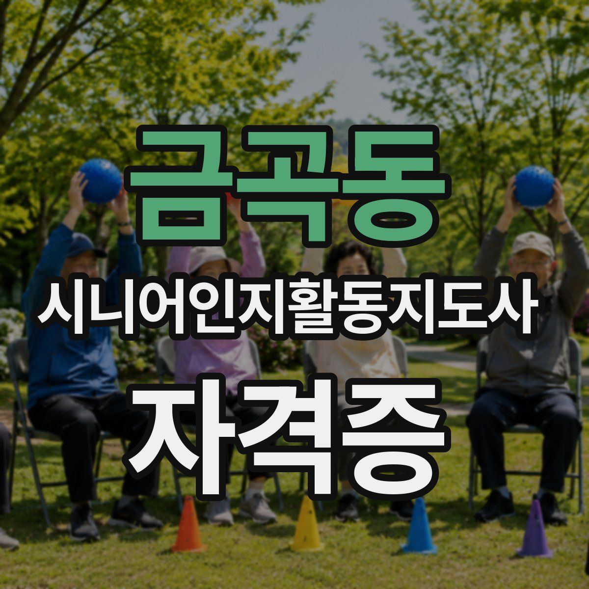 금곡동 시니어인지활동지도사 자격증
