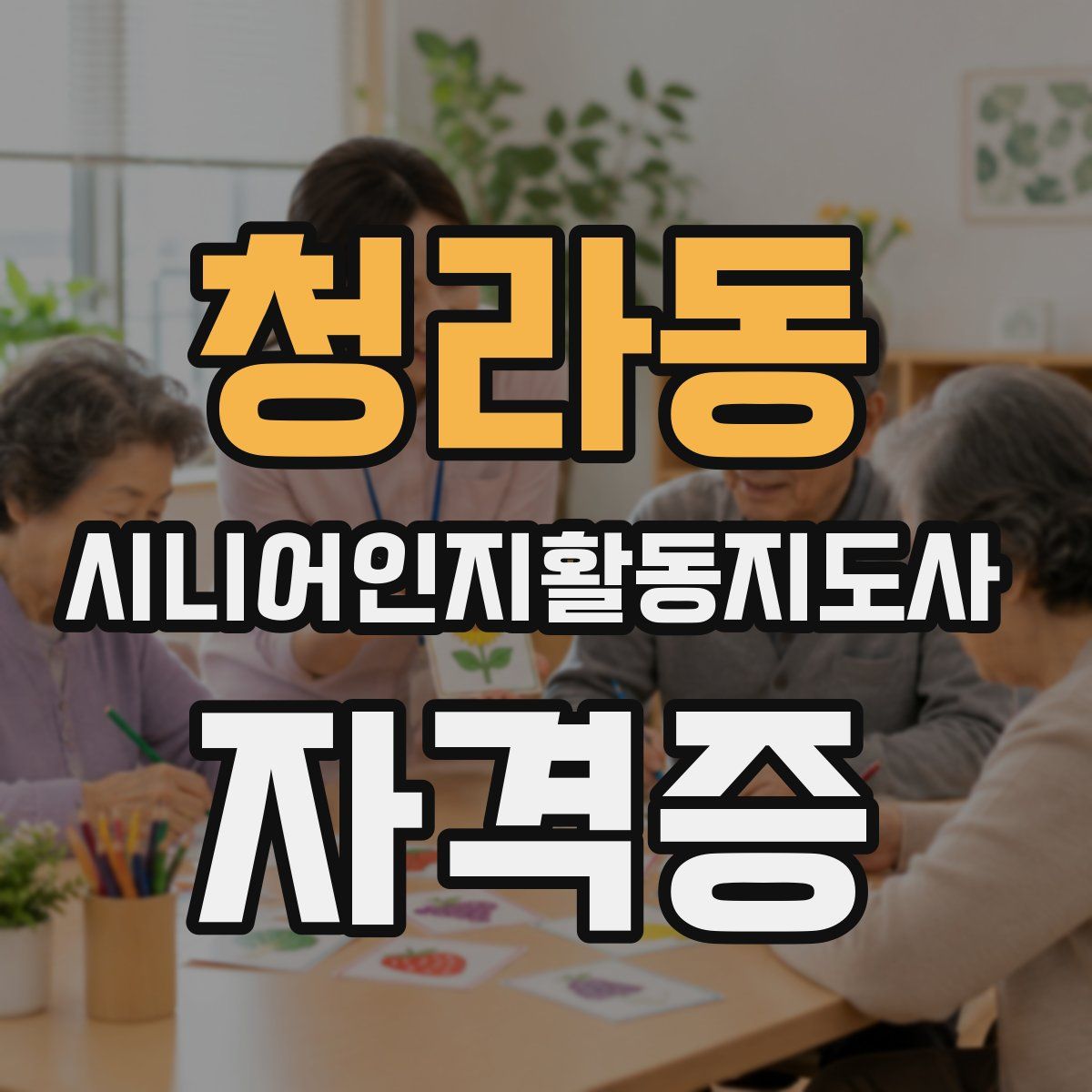 청라동 시니어인지활동지도사 자격증