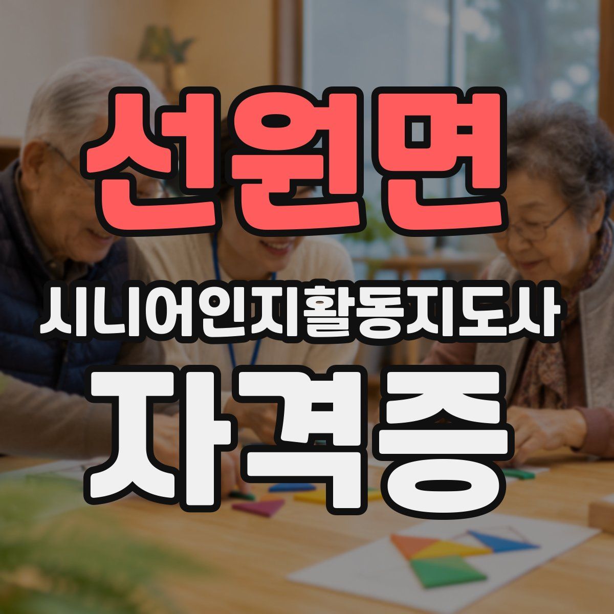 선원면 시니어인지활동지도사 자격증