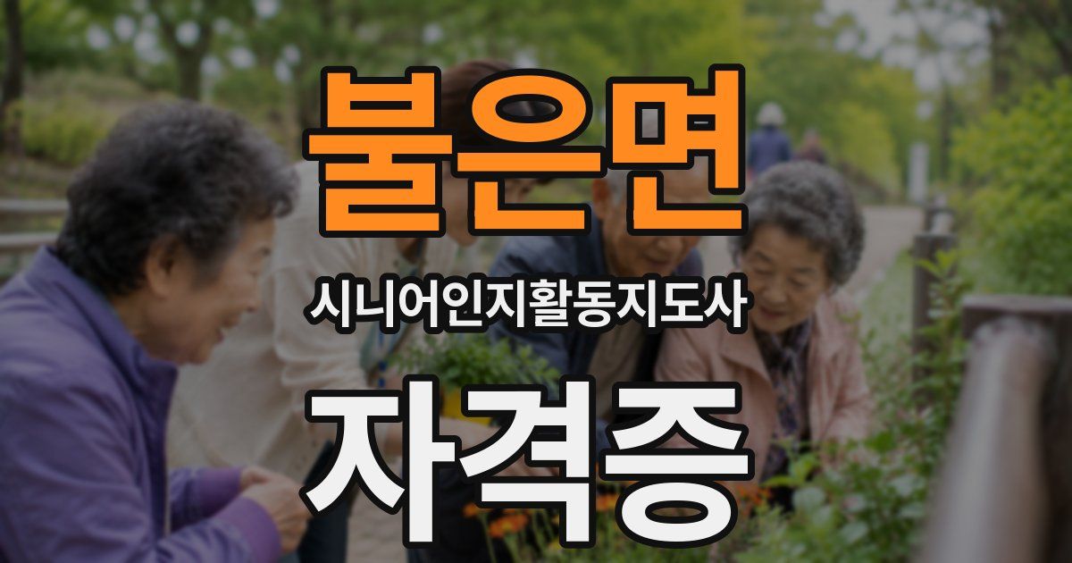 불은면 시니어인지활동지도사 자격증