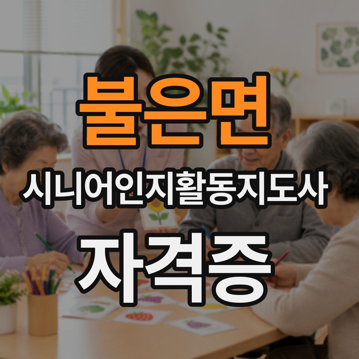 불은면 시니어인지활동지도사 자격증