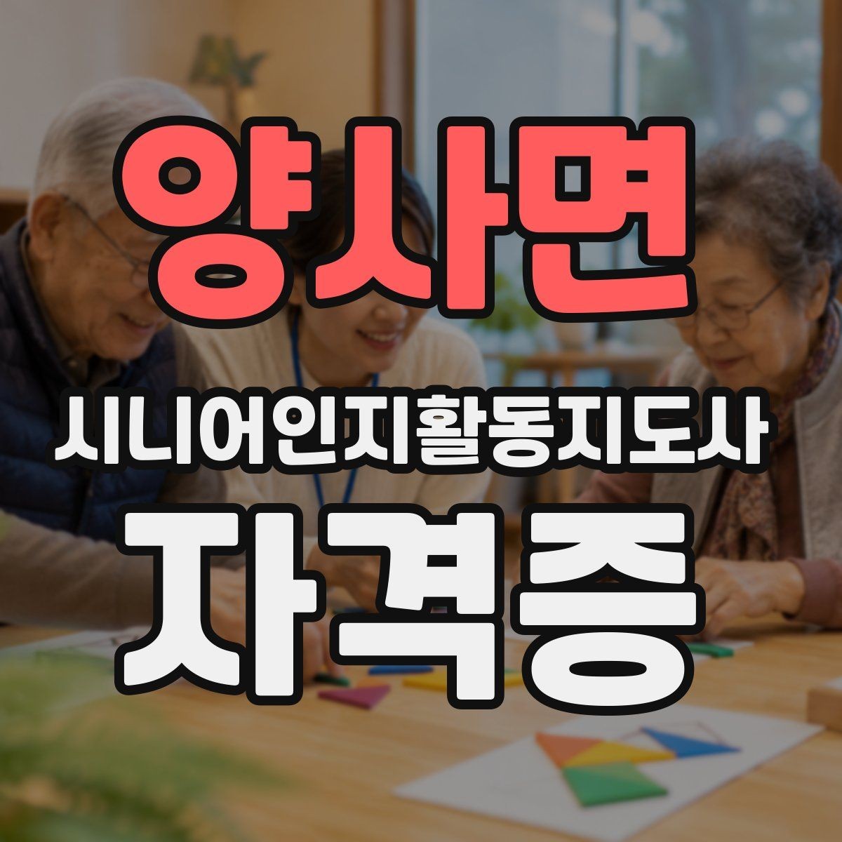 양사면 시니어인지활동지도사 자격증 신청 시 자주 확인하는 항목