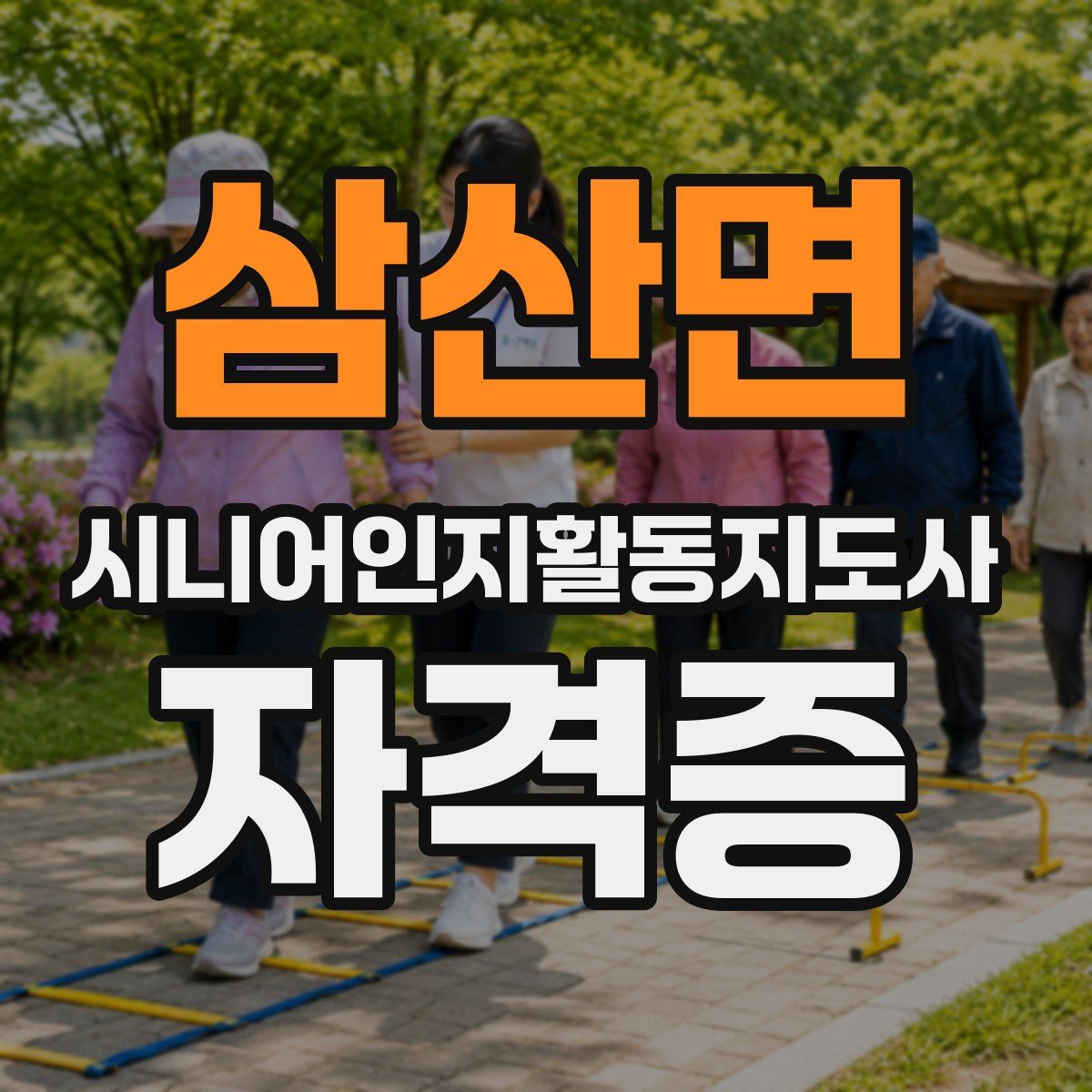 삼산면 시니어인지활동지도사 자격증