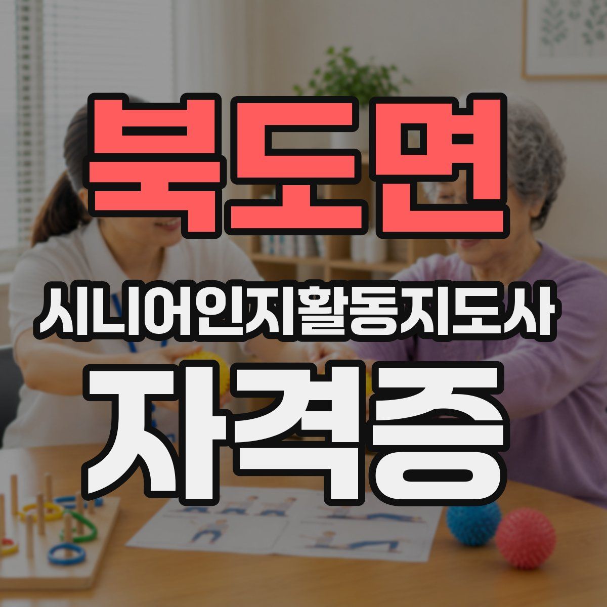 북도면 시니어인지활동지도사 자격증