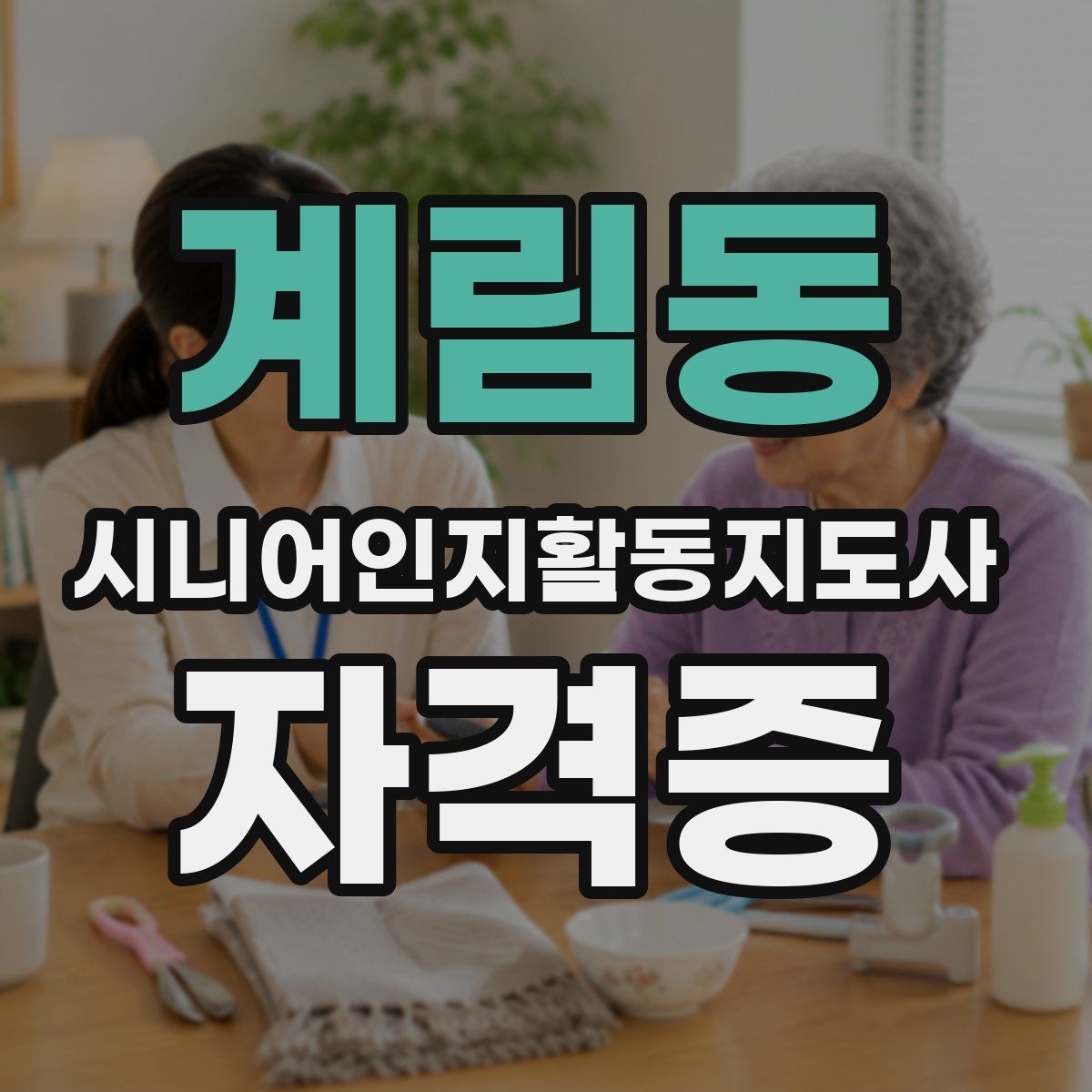 계림동 시니어인지활동지도사 자격증