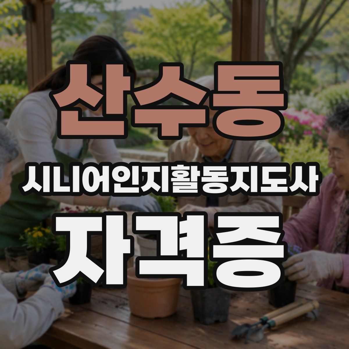 산수동 시니어인지활동지도사 자격증