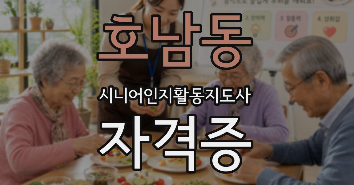 호남동 시니어인지활동지도사 자격증