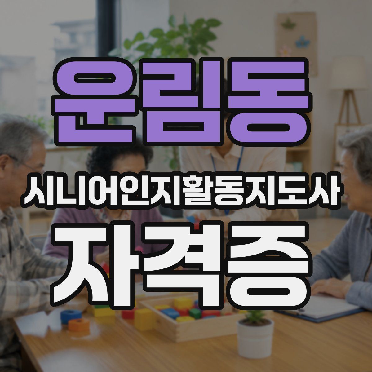 운림동 시니어인지활동지도사 자격증