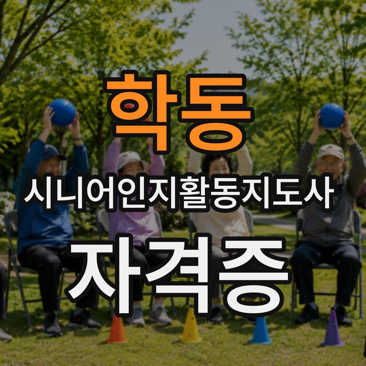 학동 시니어인지활동지도사 자격증