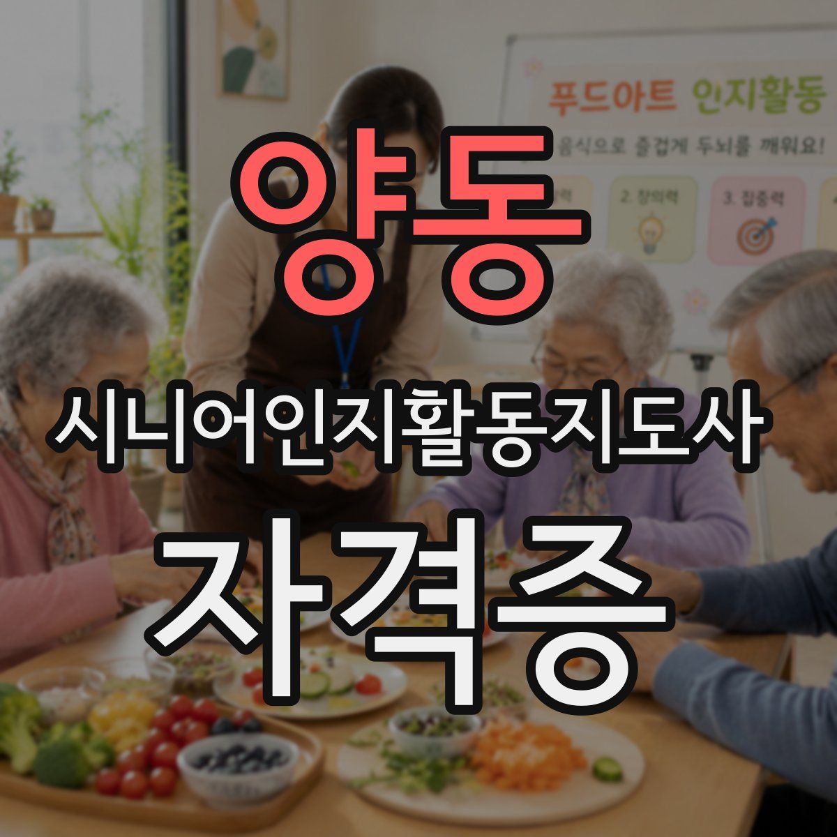 양동 시니어인지활동지도사 자격증