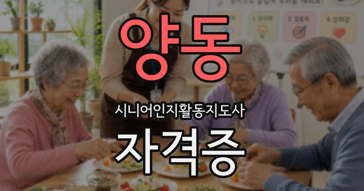 양동 시니어인지활동지도사 자격증