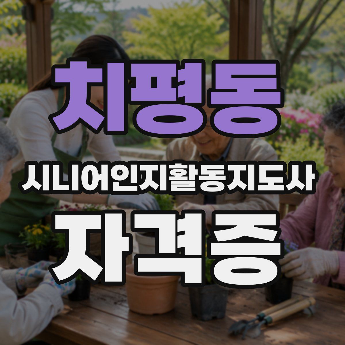 치평동 시니어인지활동지도사 자격증