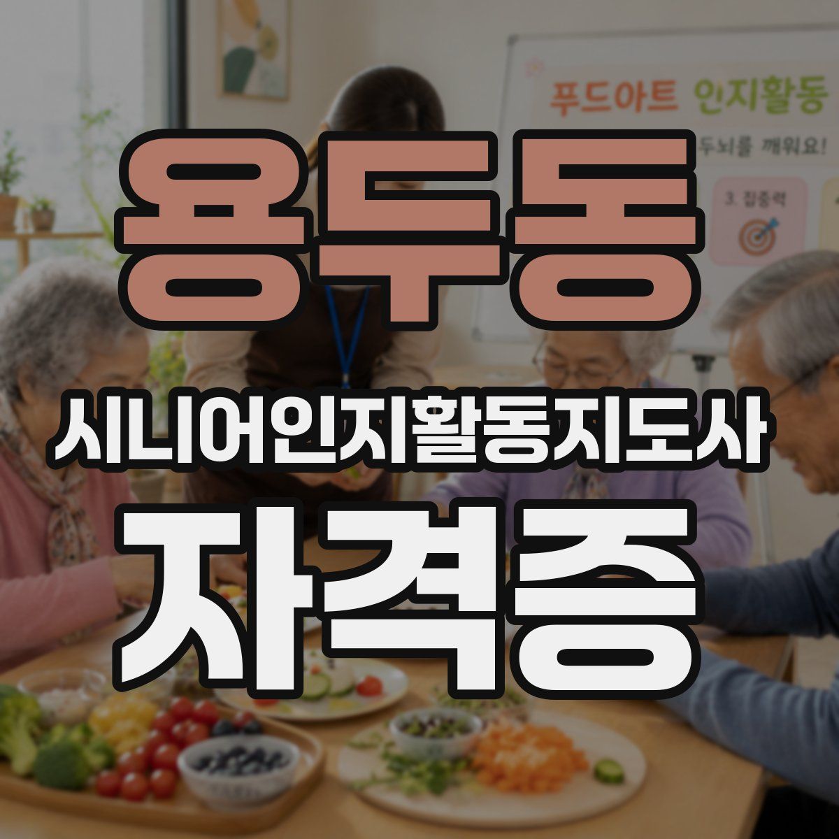 용두동 시니어인지활동지도사 자격증
