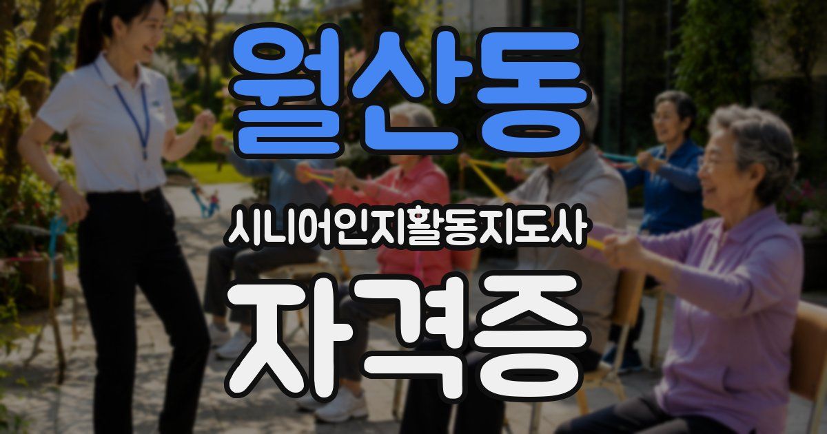월산동 시니어인지활동지도사 자격증