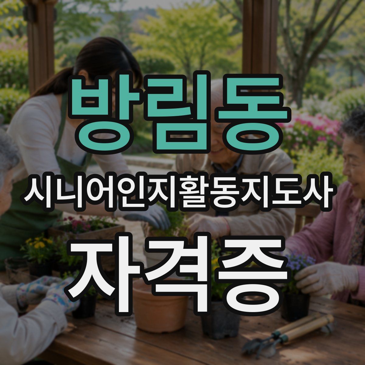 방림동 시니어인지활동지도사 자격증