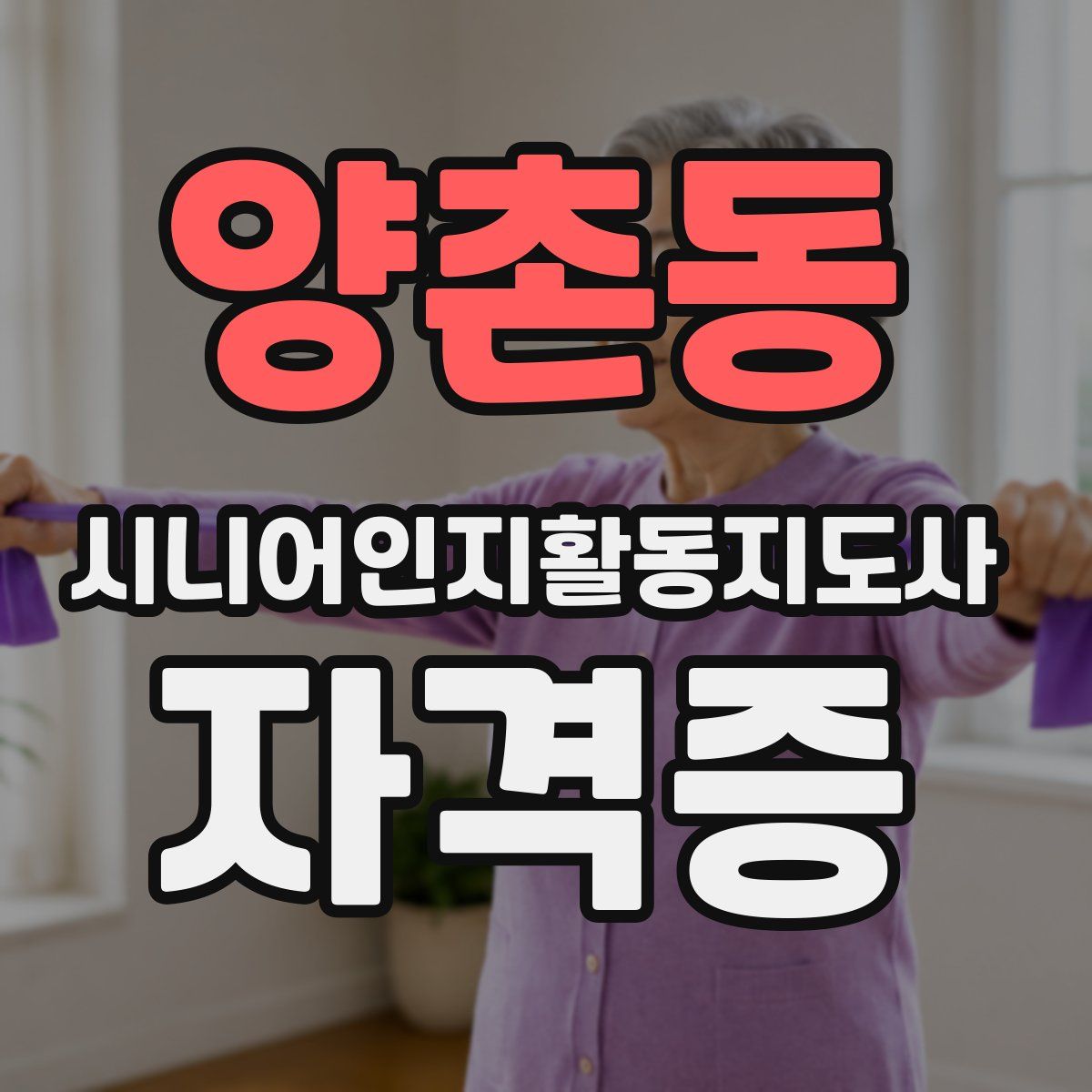 양촌동 시니어인지활동지도사 자격증