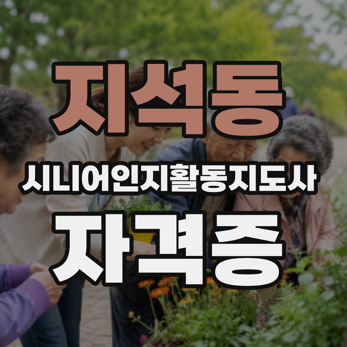 지석동 시니어인지활동지도사 자격증