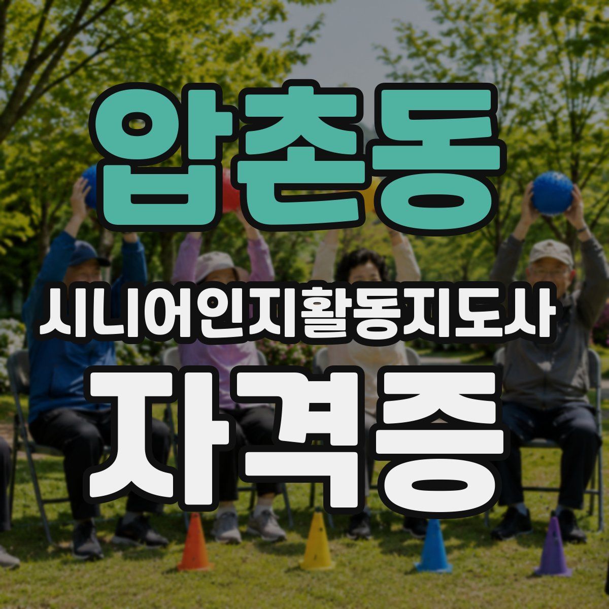 압촌동 시니어인지활동지도사 자격증