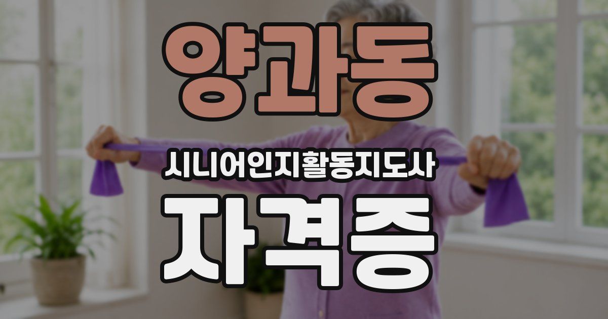 양과동 시니어인지활동지도사 자격증