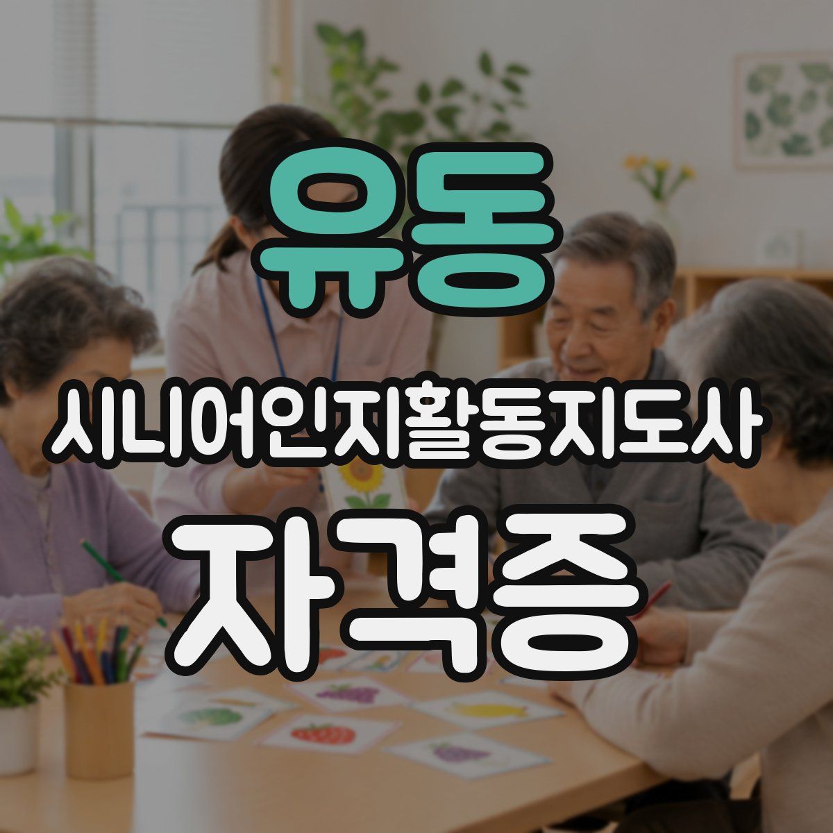 유동 시니어인지활동지도사 자격증