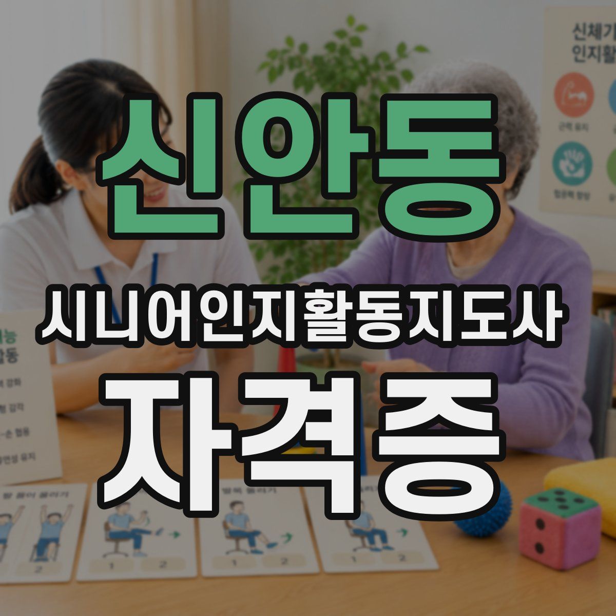 신안동 시니어인지활동지도사 자격증