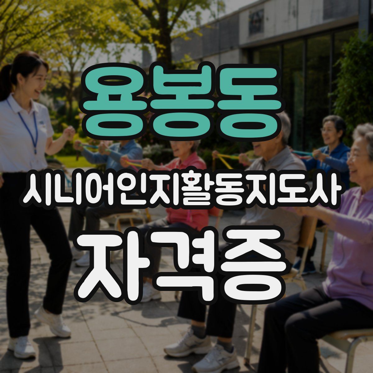 용봉동 시니어인지활동지도사 자격증