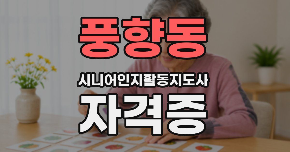 풍향동 시니어인지활동지도사 자격증