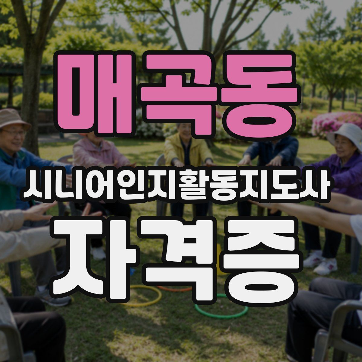 매곡동 시니어인지활동지도사 자격증