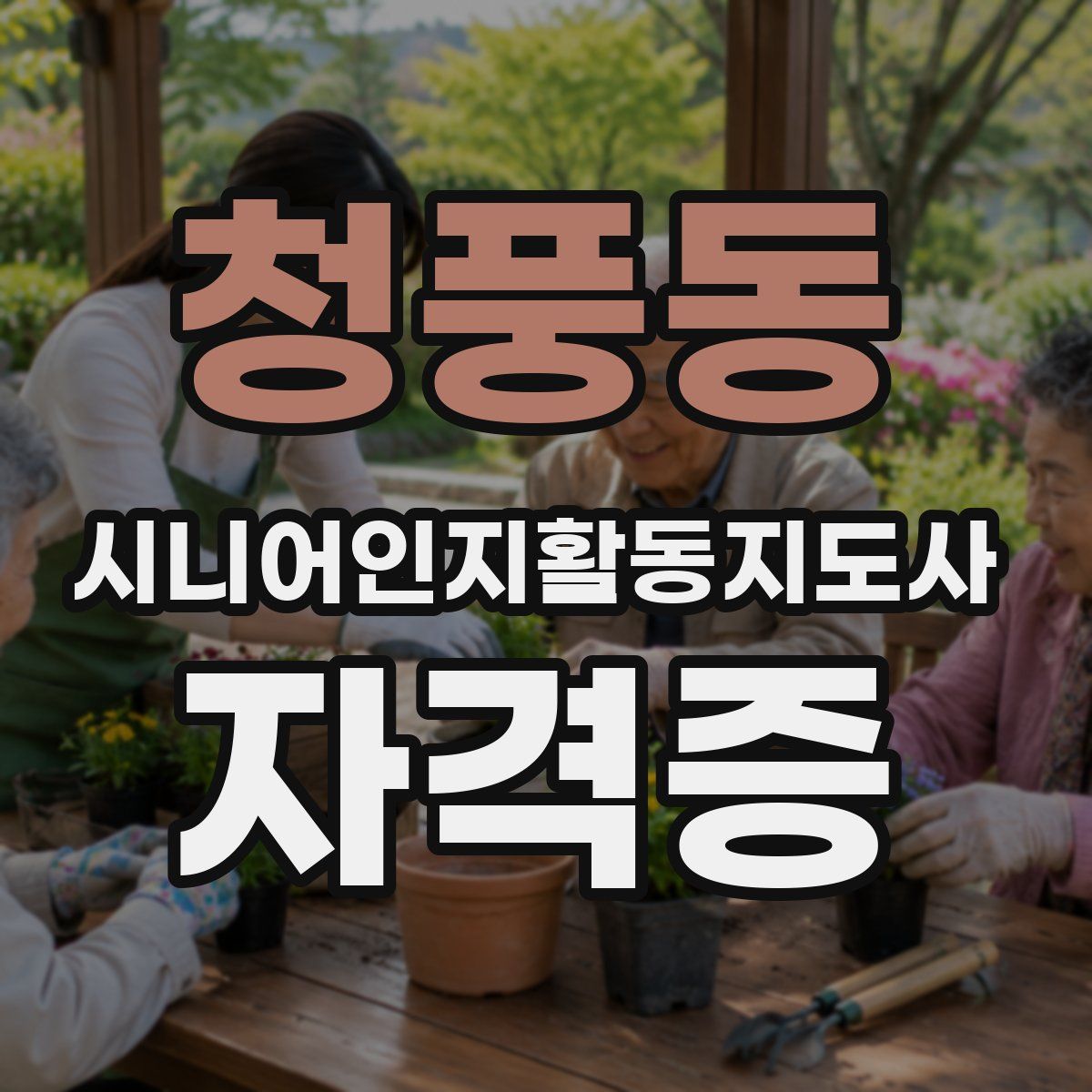 청풍동 시니어인지활동지도사 자격증
