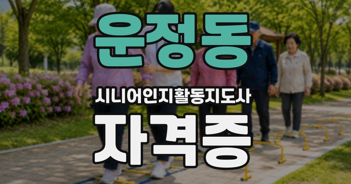 운정동 시니어인지활동지도사 자격증
