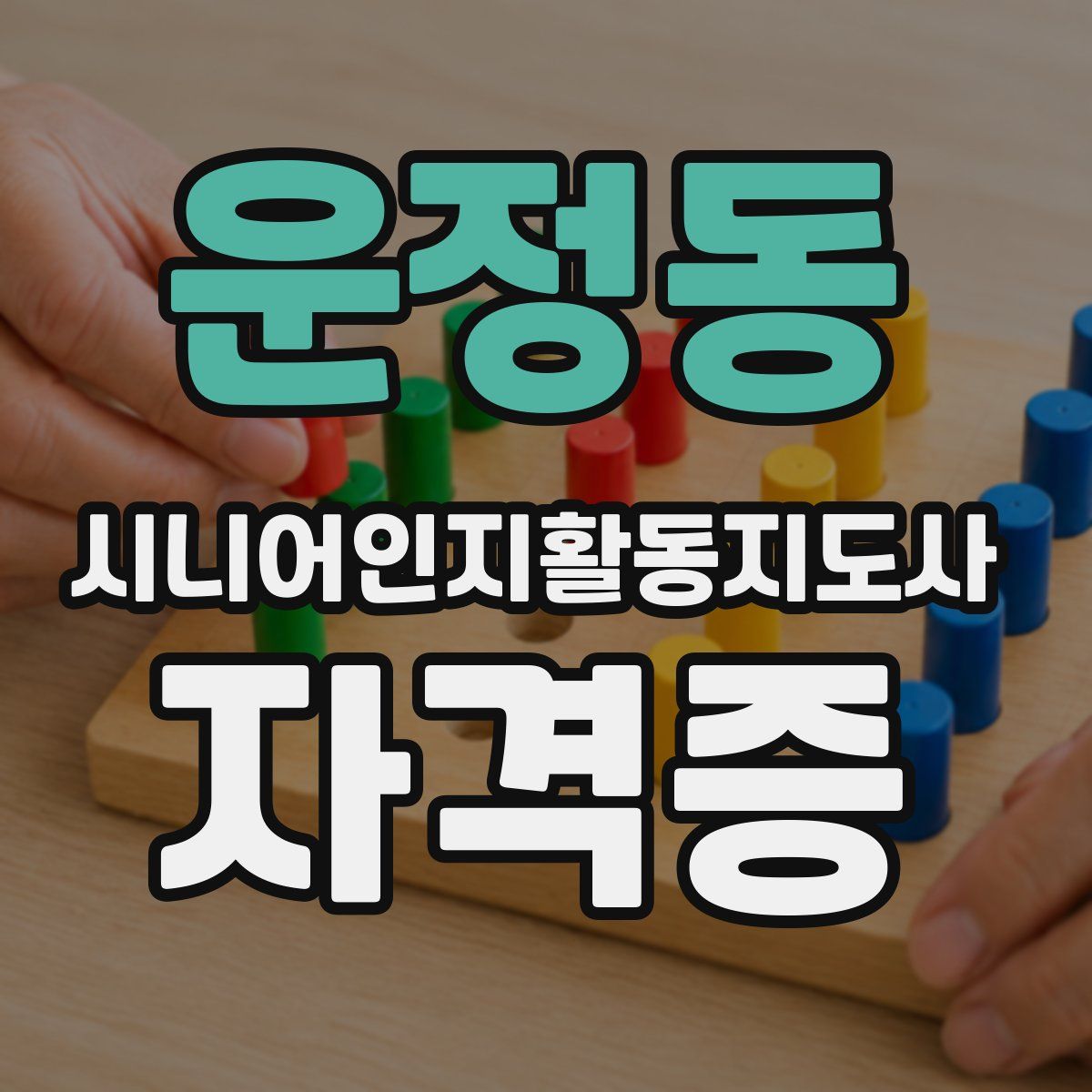 운정동 시니어인지활동지도사 자격증