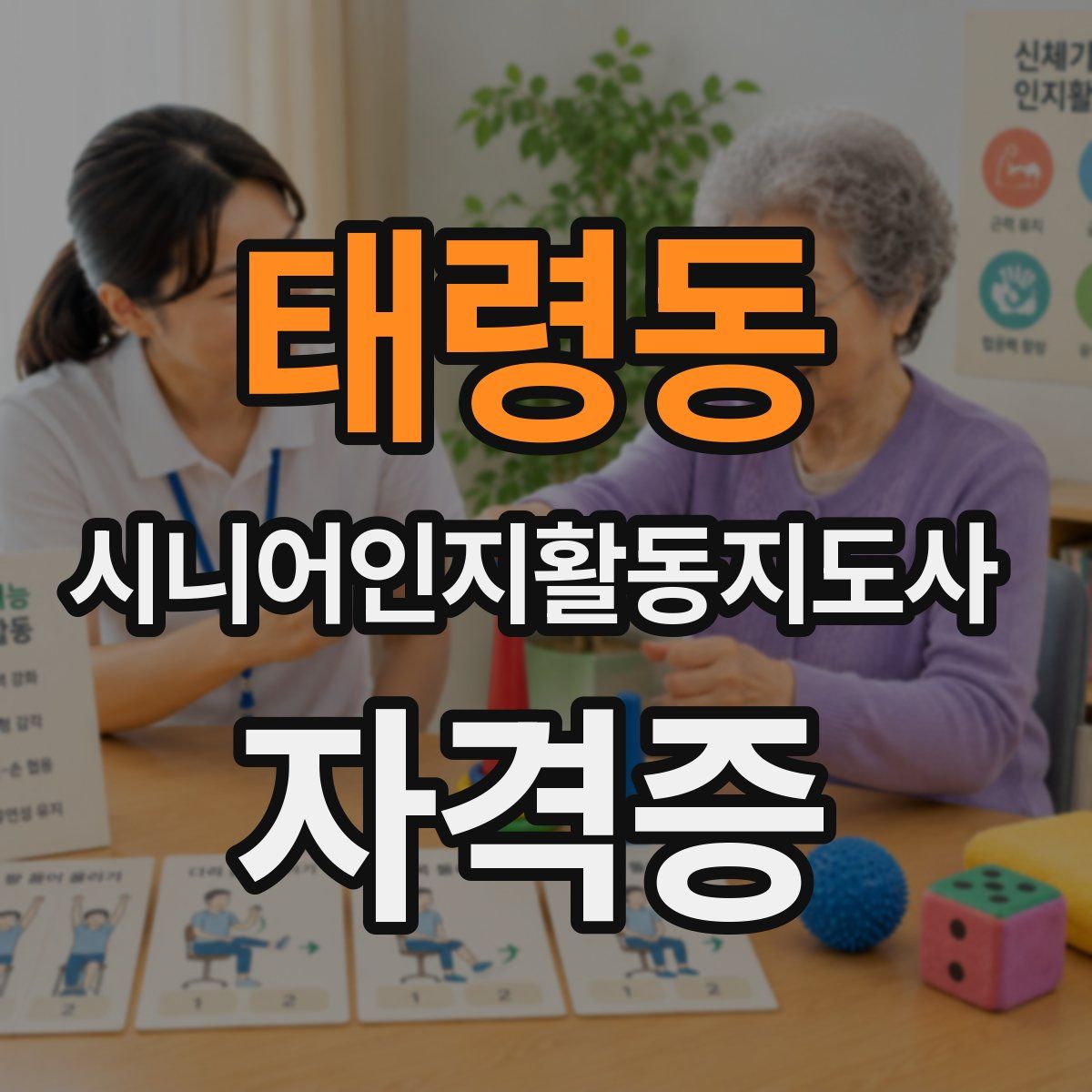 태령동 시니어인지활동지도사 자격증