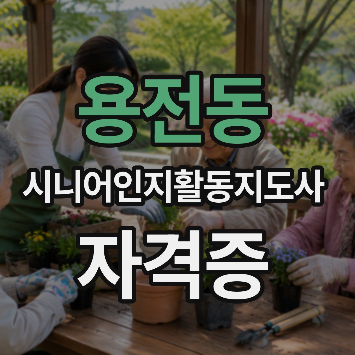 용전동 시니어인지활동지도사 자격증