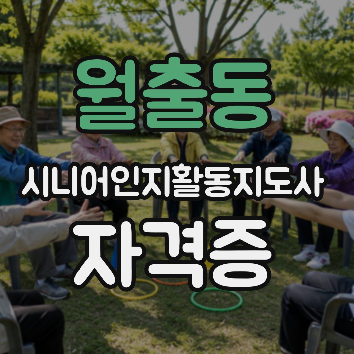월출동 시니어인지활동지도사 자격증