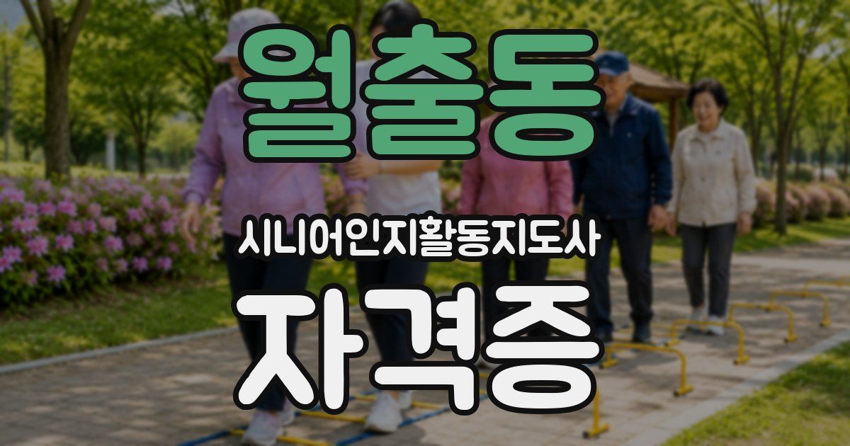 월출동 시니어인지활동지도사 자격증