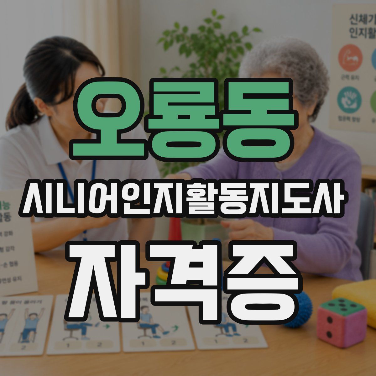 오룡동 시니어인지활동지도사 자격증