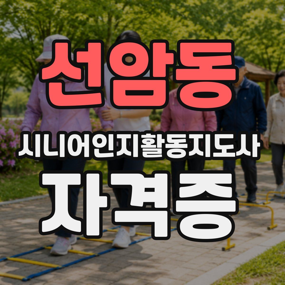 선암동 시니어인지활동지도사 자격증