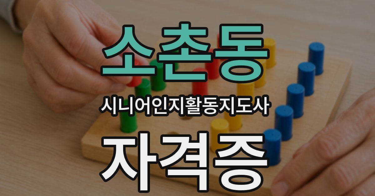 소촌동 시니어인지활동지도사 자격증