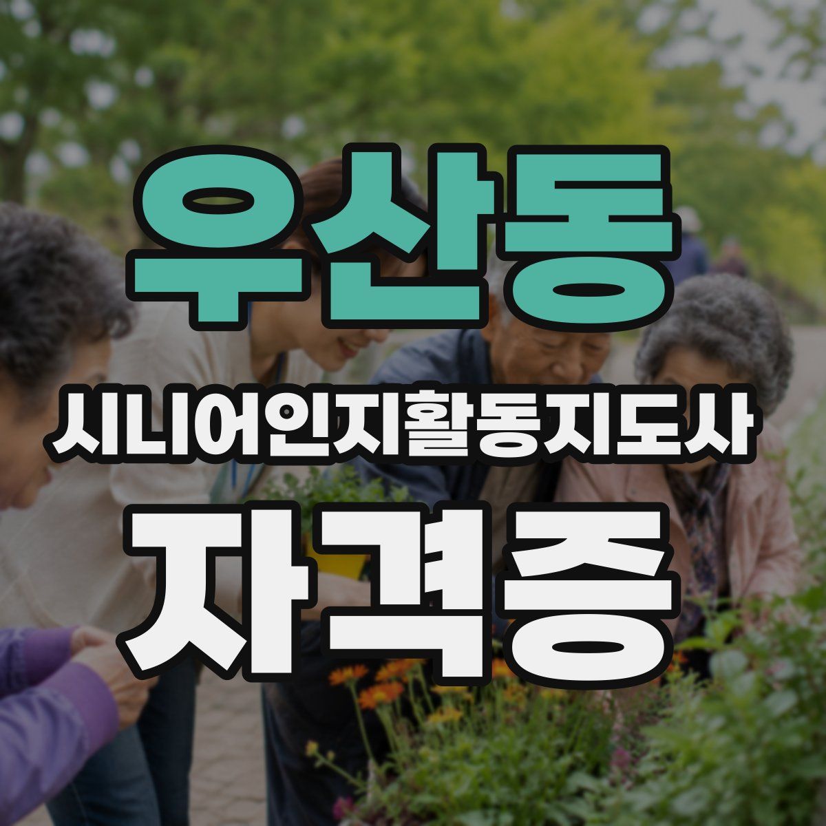 우산동 시니어인지활동지도사 자격증