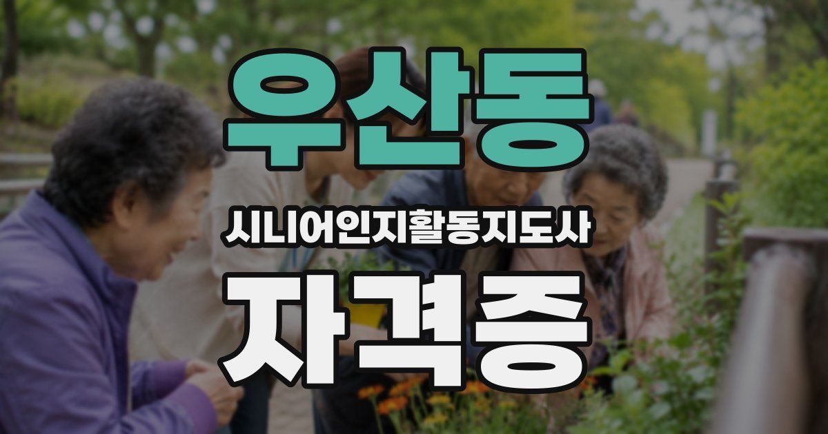 우산동 시니어인지활동지도사 자격증