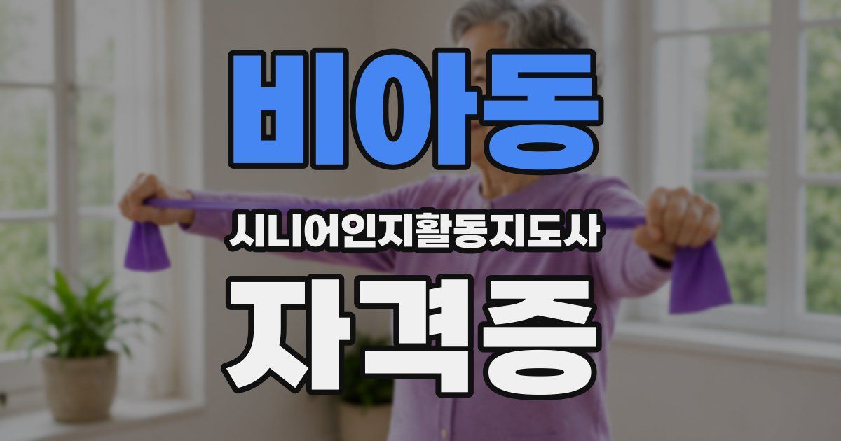 비아동 시니어인지활동지도사 자격증