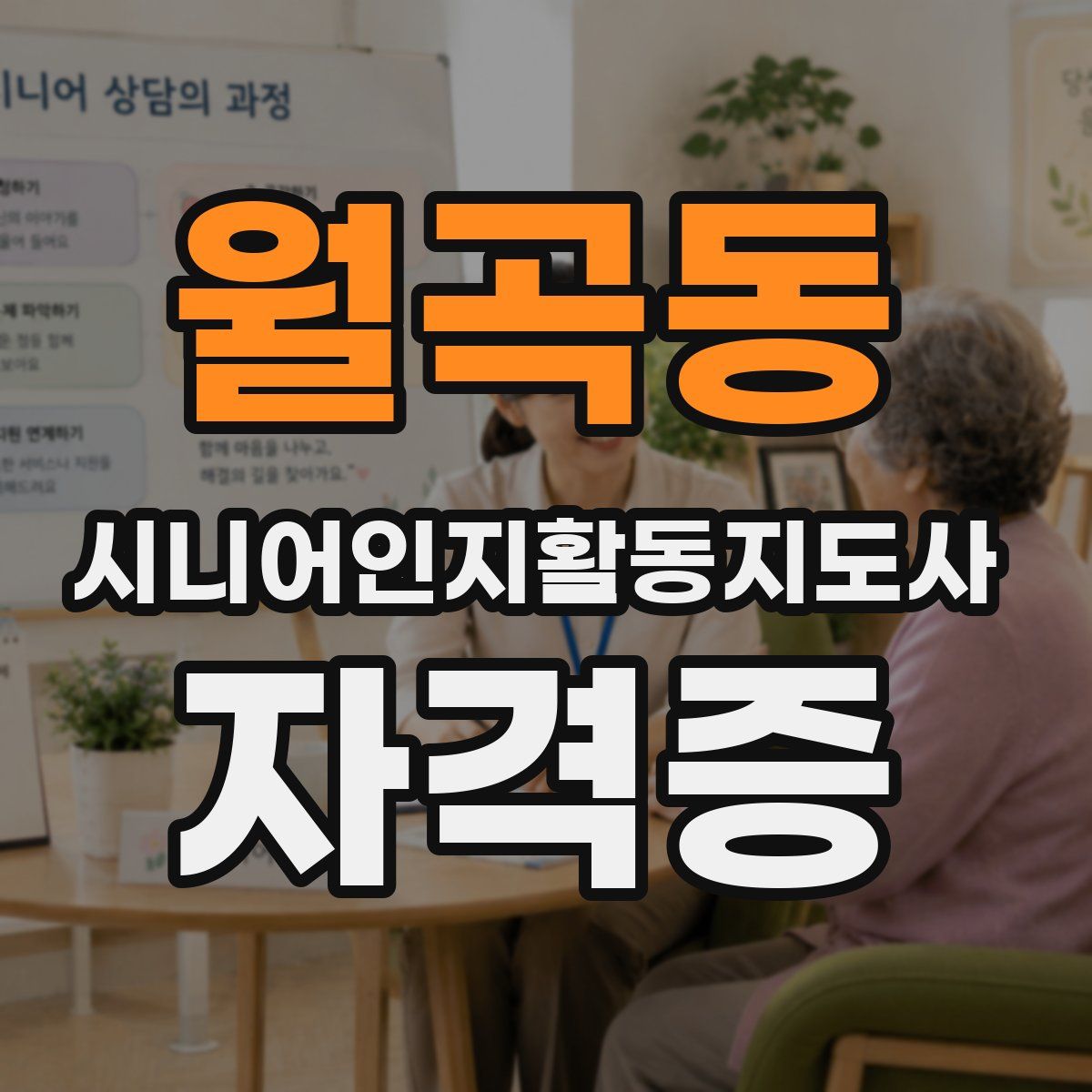 월곡동 시니어인지활동지도사 자격증
